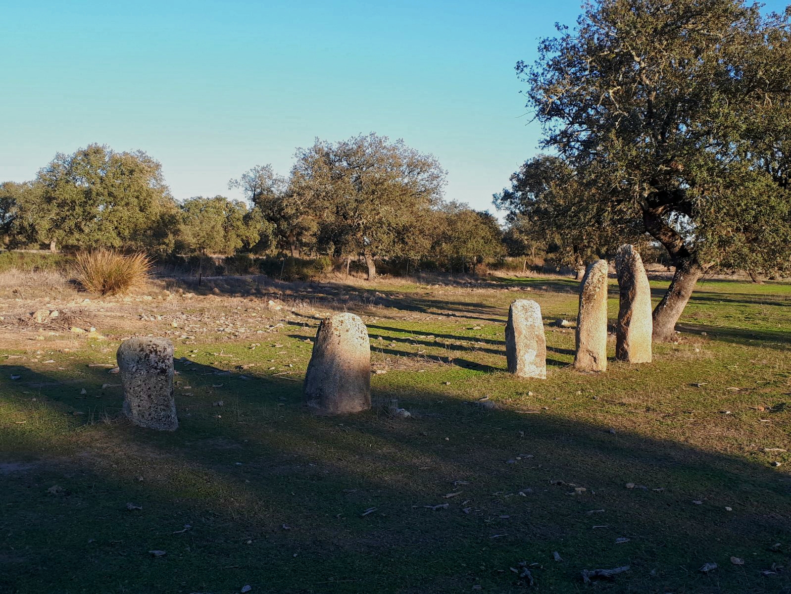 PAVIA Alinhamento de Tera1