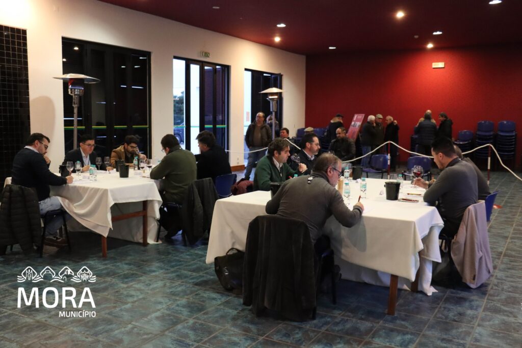 Concurso de vinho 2026 13