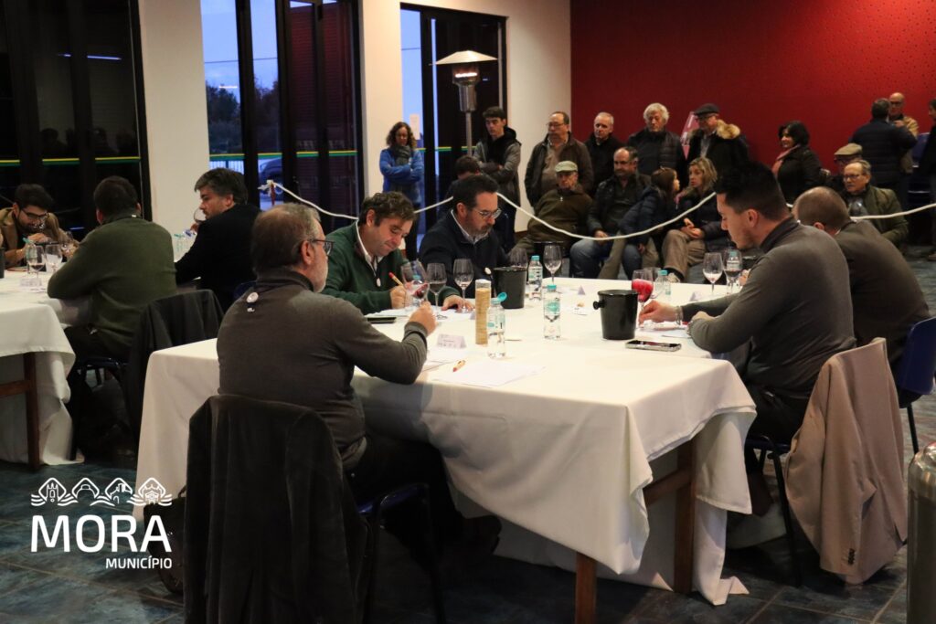 Concurso de vinho 2026 15