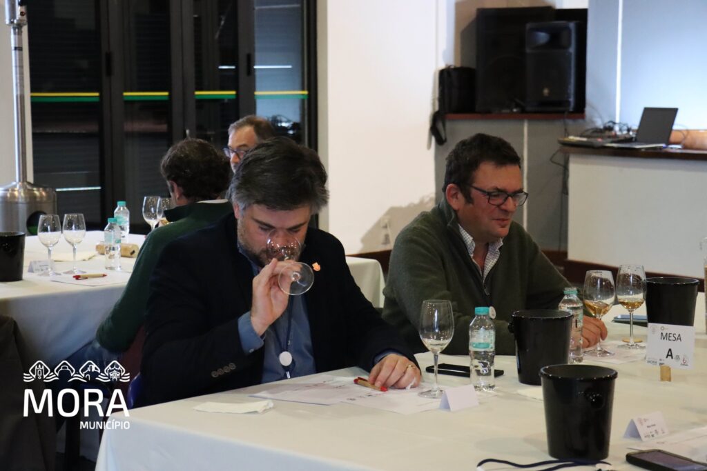 Concurso de vinho 2026 6