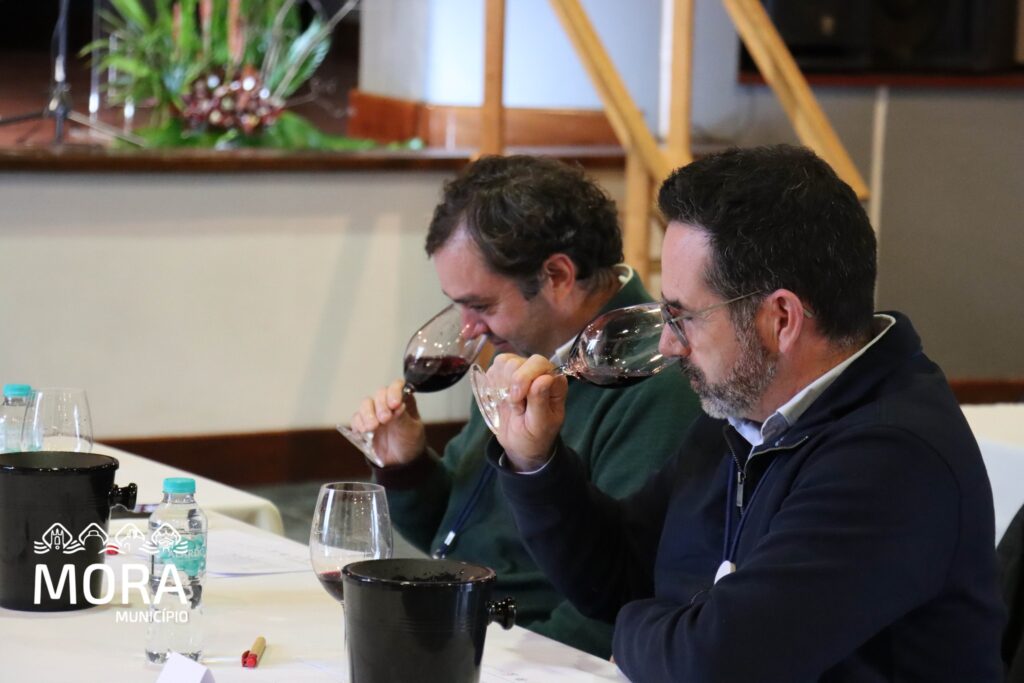 Concurso de vinho 2026 7