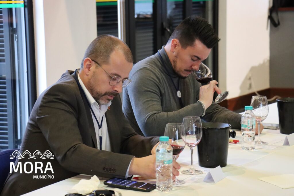 Concurso de vinho 2026 9